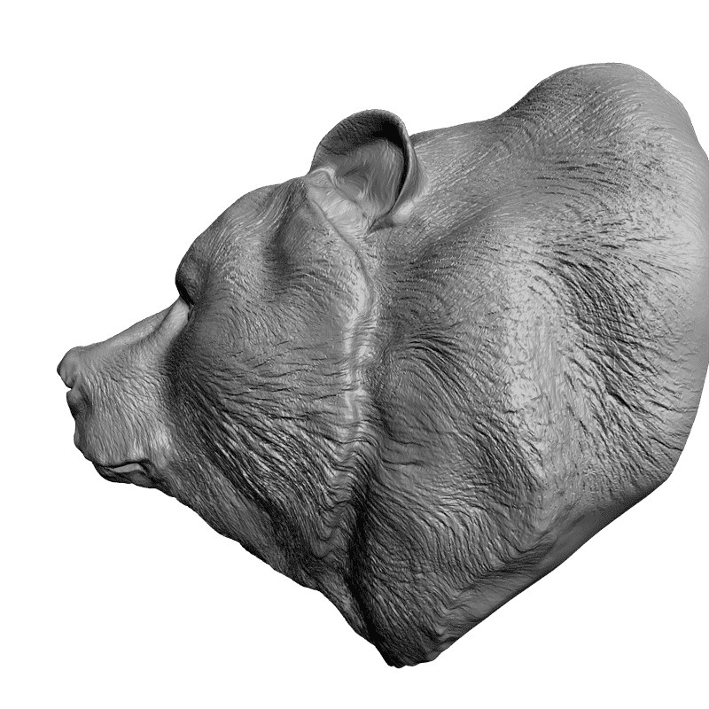 картинка Голова медведя F1-035 3D-STL.COM