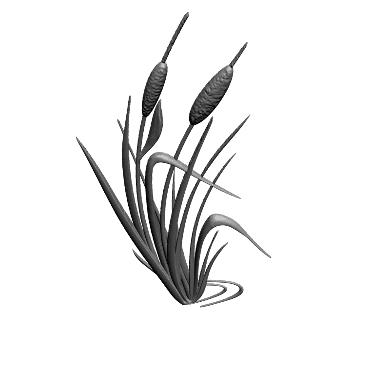картинка Камыш F4-053 3D-STL.COM