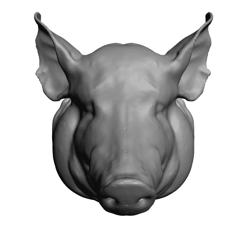 картинка Голова свиньи F1-136 3D-STL.COM