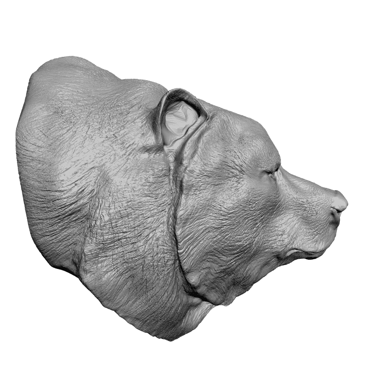 картинка Голова медведя F1-035 3D-STL.COM
