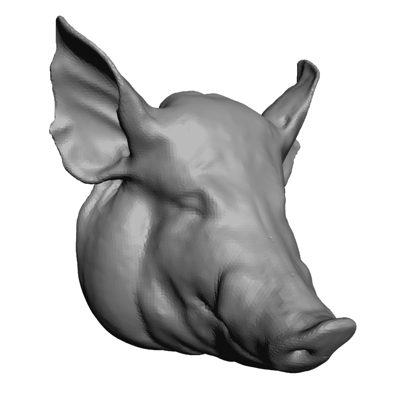 картинка Голова свиньи F1-136 3D-STL.COM