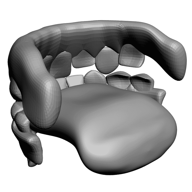 картинка Челюсти L5-050 3D-STL.COM